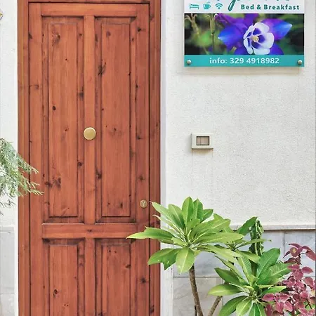 Alojamento de Acomodação e Pequeno-almoço Daphne San Vito Lo Capo