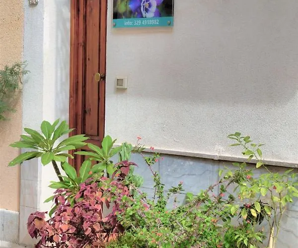 Bed and Breakfast Daphne 3*